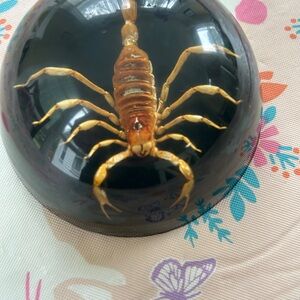 Decorative Scorpion Dome paperweight 70s vintage